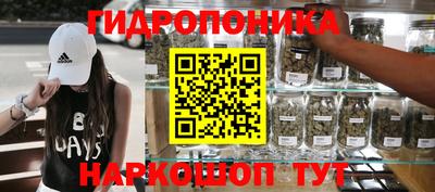 сатива Обь