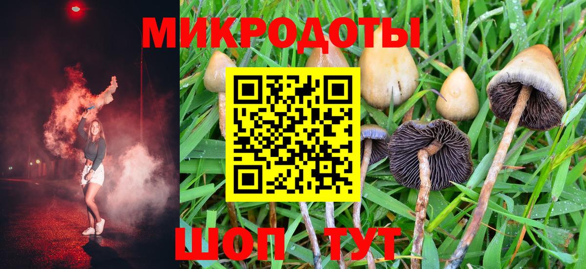 Псилоцибиновые грибы Psilocybine cubensis  Вход с VPN  Ростов Великий 